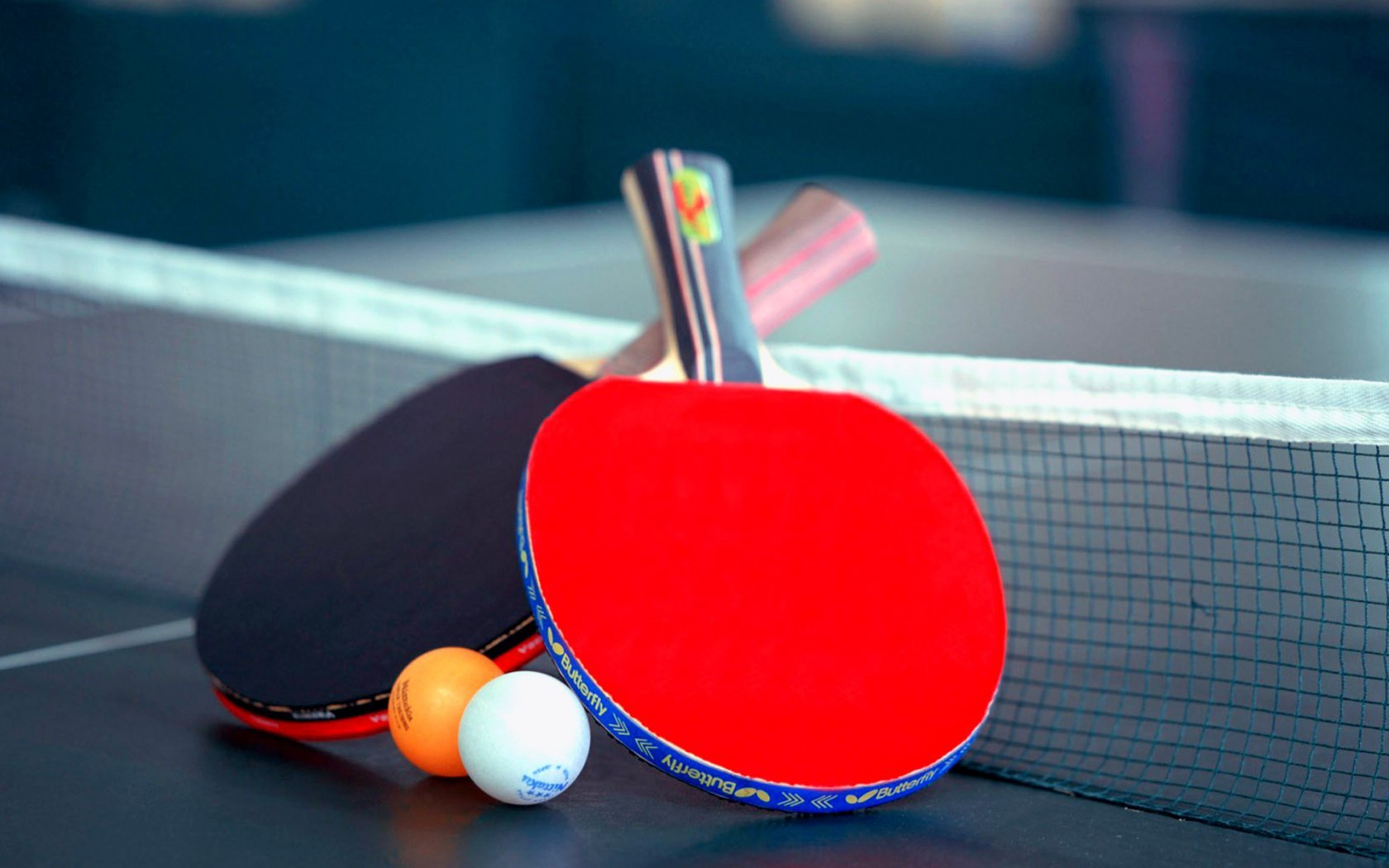 Table Tennis Shop Singapore